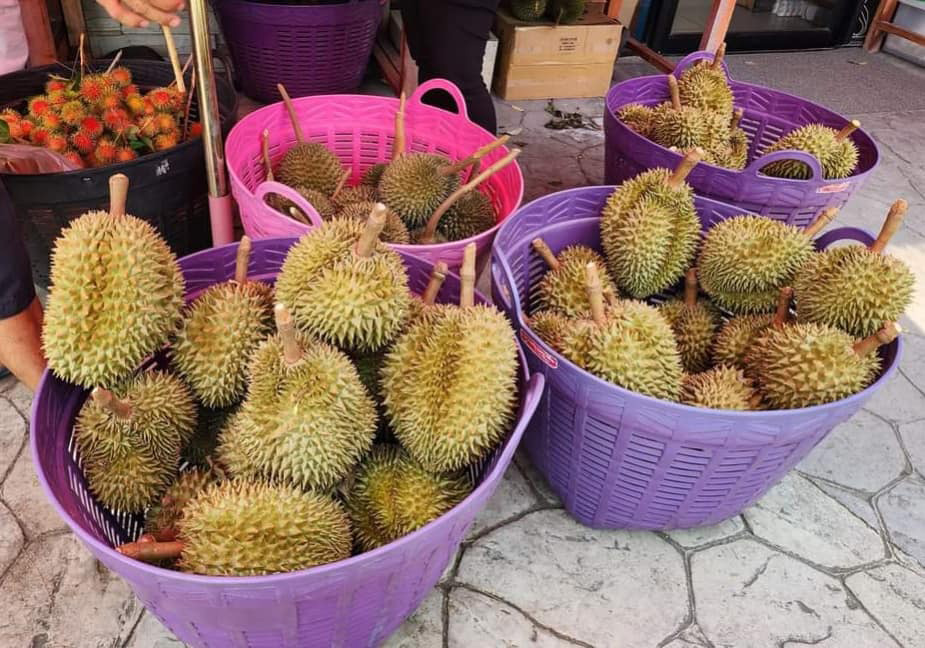 สวนผลไม้ระยอง