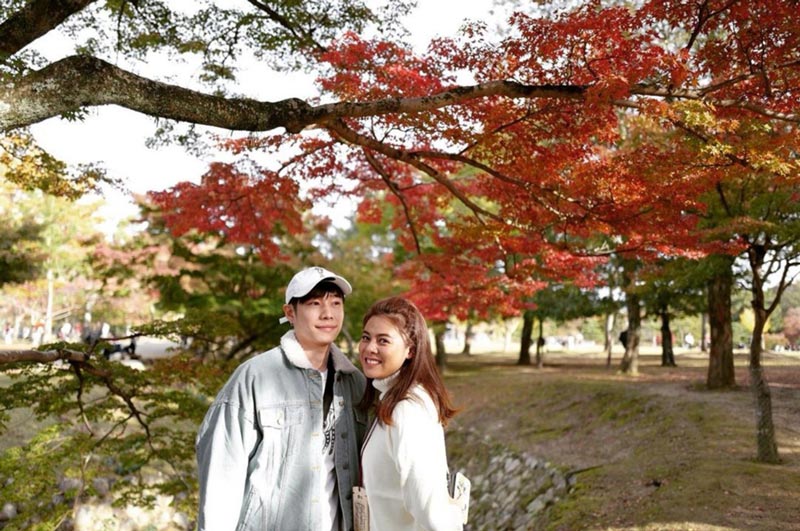 ใบเฟิร์น เจโม่