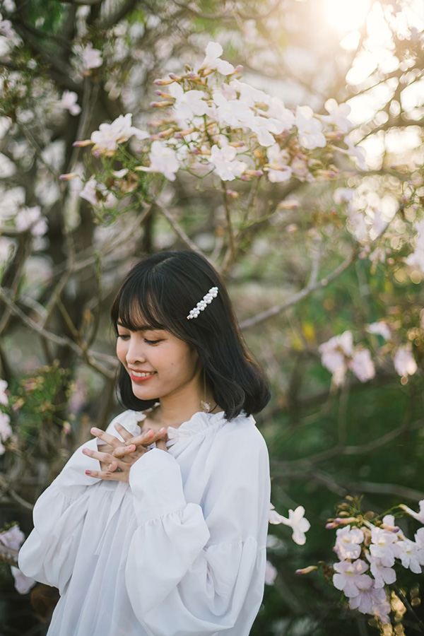 ชมพูพันธุ์ทิพย์ 2565