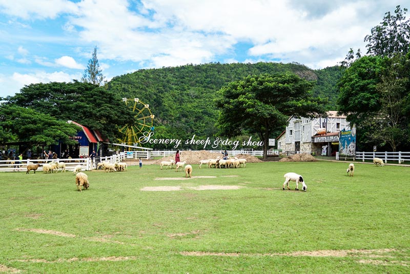 The Scenery Vintage Farm