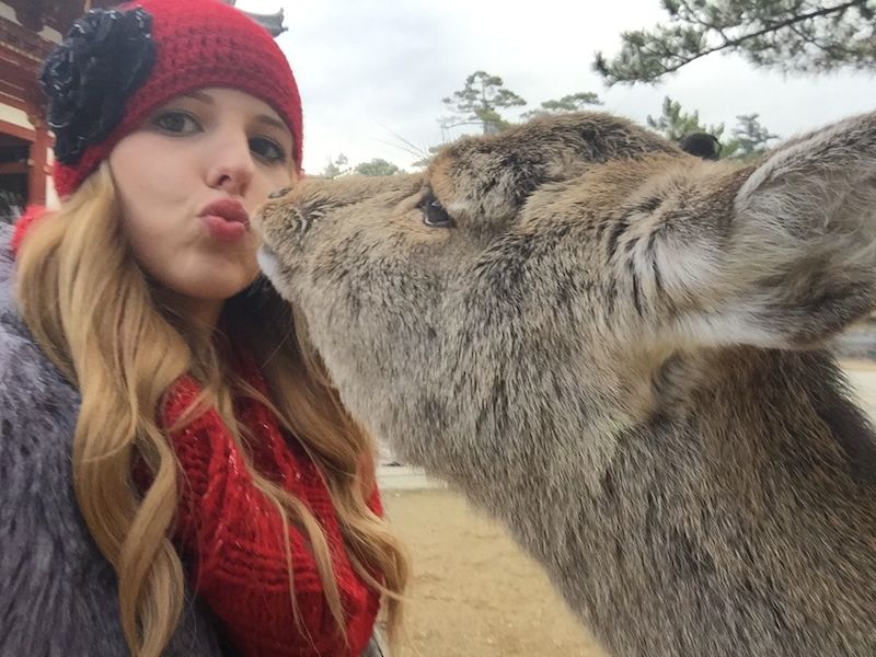 ถ่ายเซลฟี่