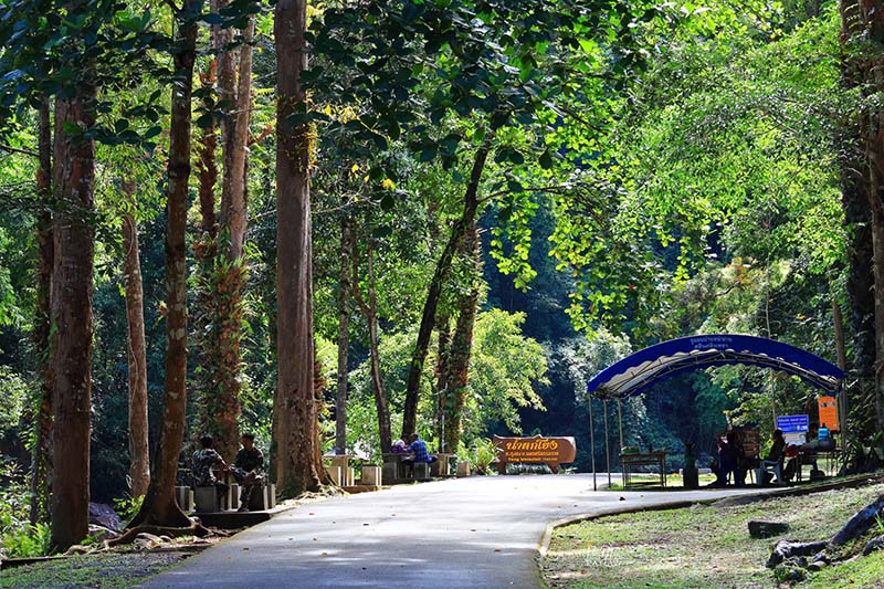 น้ำตกโยง-น้ำตกปลิว