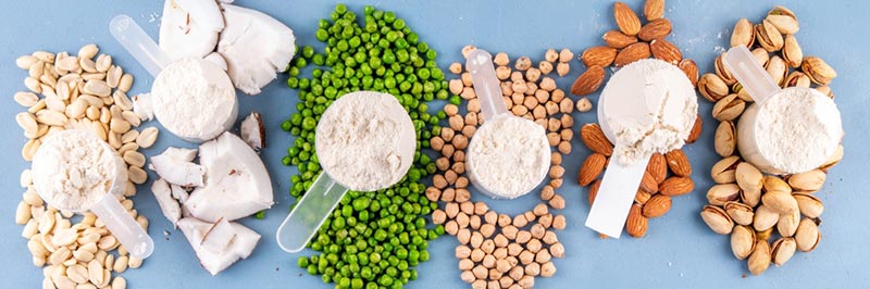 โปรตีนพืช