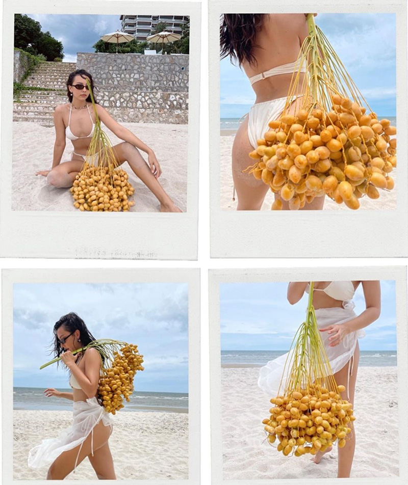 คารีสา สปริงเก็ตต์ 