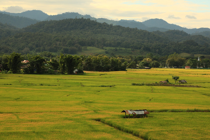 ที่เที่ยวปลายฝนต้นหนาว