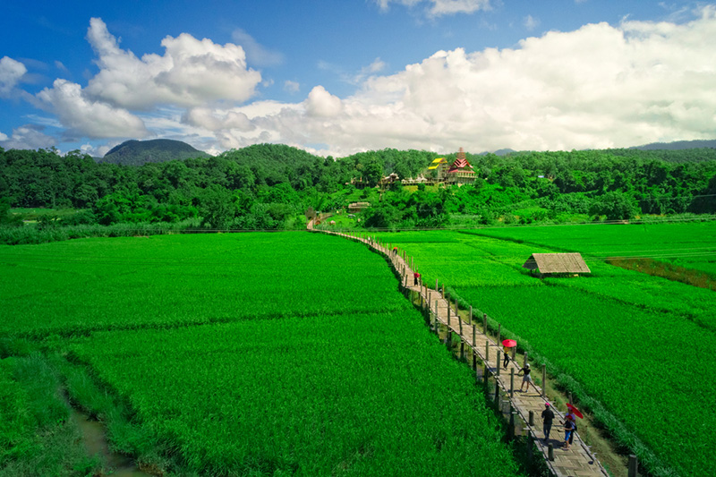 วัดภูสมณาราม (ซูตองเป้)