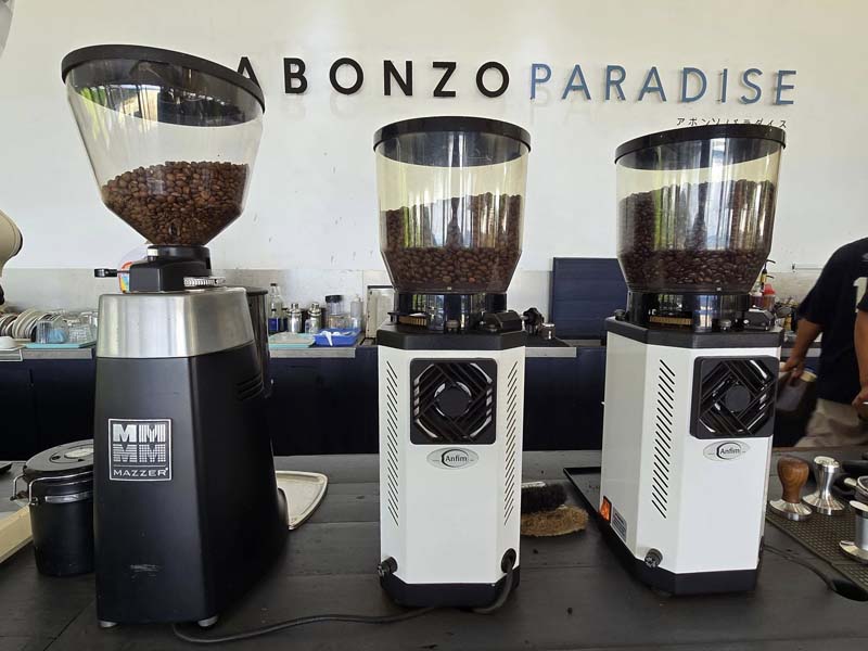 ABONZO Paradise