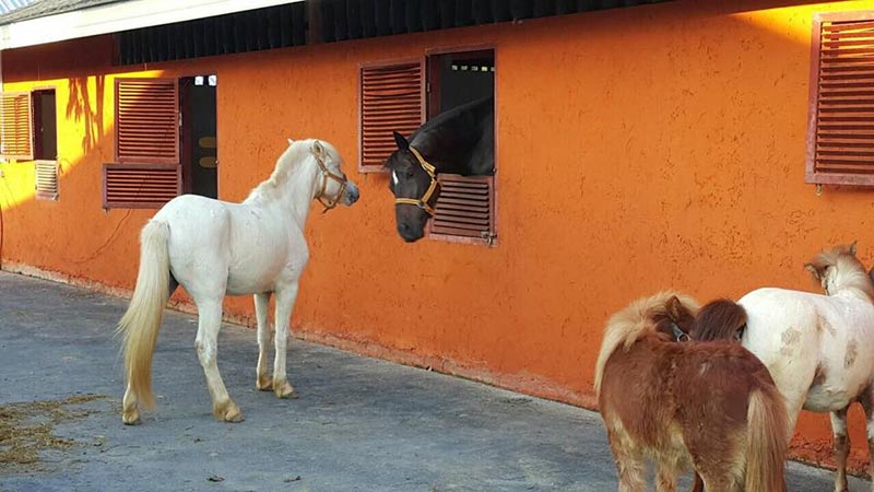 เที่ยวแม่กลอง