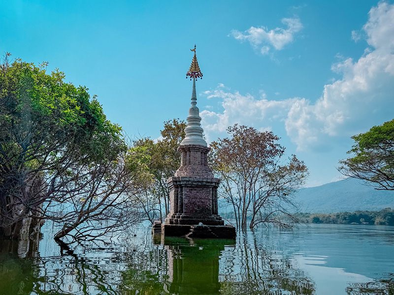 วัดบ้านเก่าจมน้ำ ชมต้นฉำฉากลางน้ำ ลำพูน