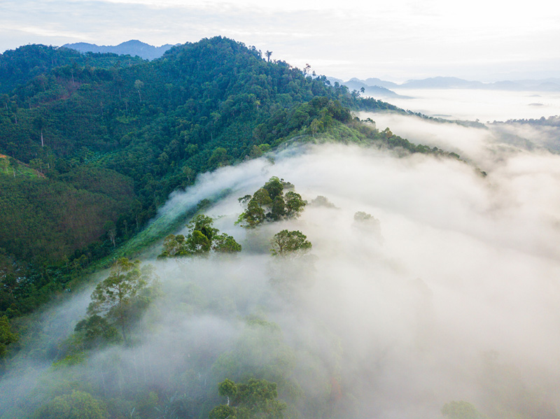 ที่เที่ยวปีใหม่