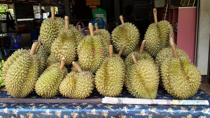 ที่เที่ยววันหยุดยาว