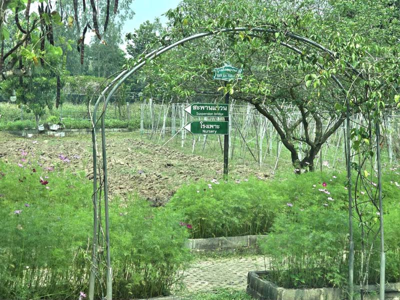 บ้านไร่สะบายดี