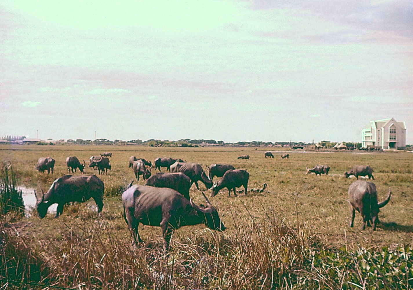 กรุงเทพ