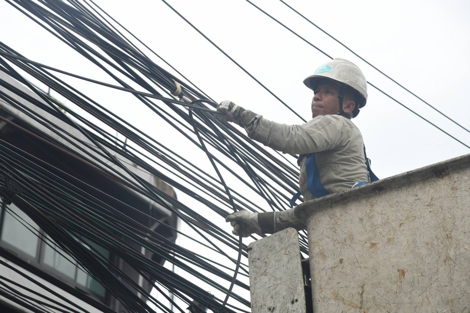 การไฟฟ้านครหลวง
