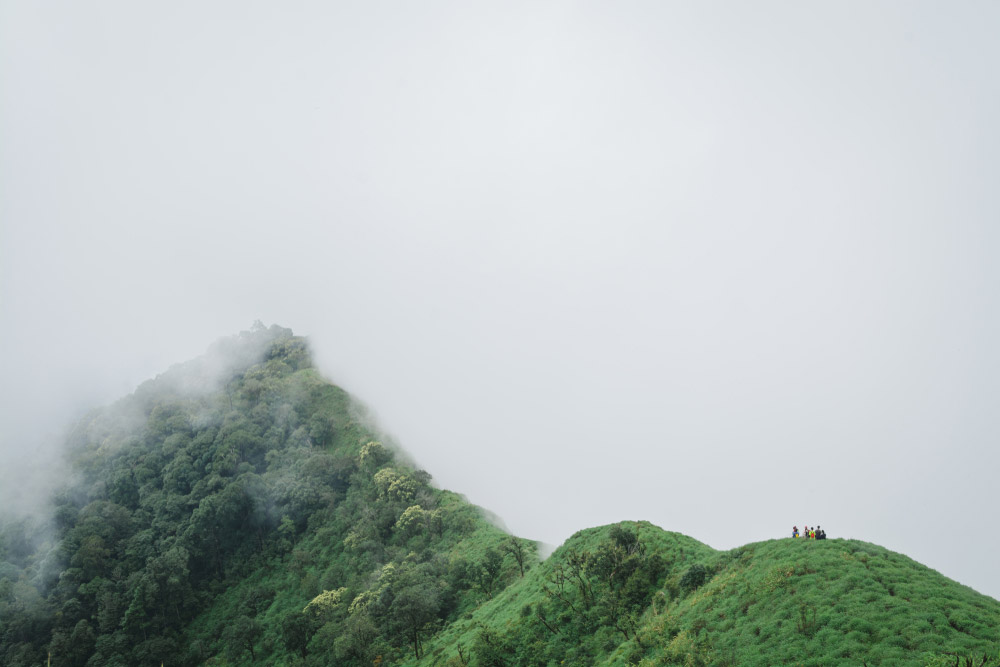 เที่ยวดอยหน้าหนาว