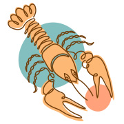 ดูดวงปี 2569