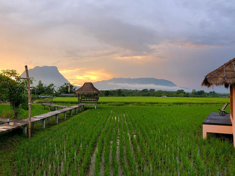 ร้านกาแฟเชียงใหม่ ธรรมชาติ