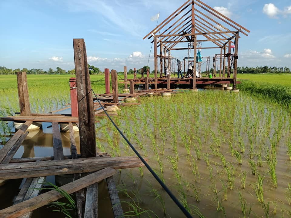 สร้างบ้านกลางทุ่งนา