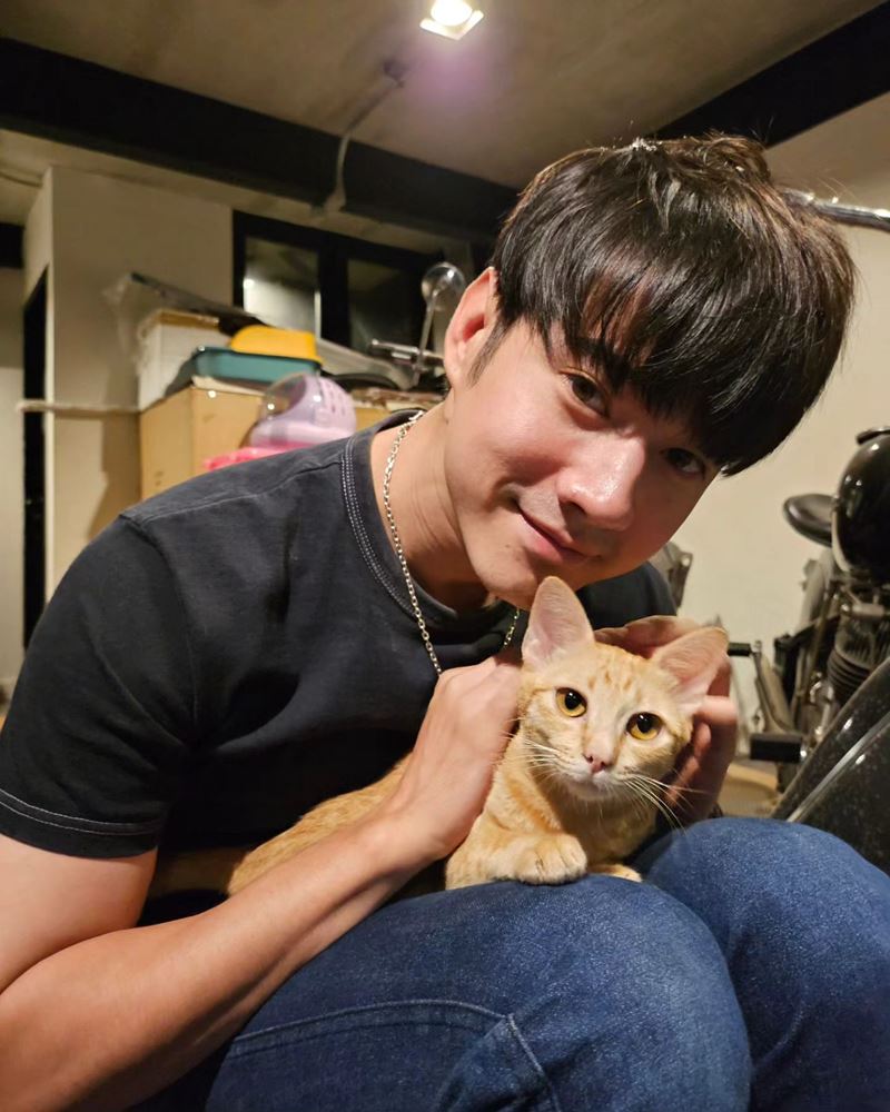 มาริโอ้ เมาเร่อ