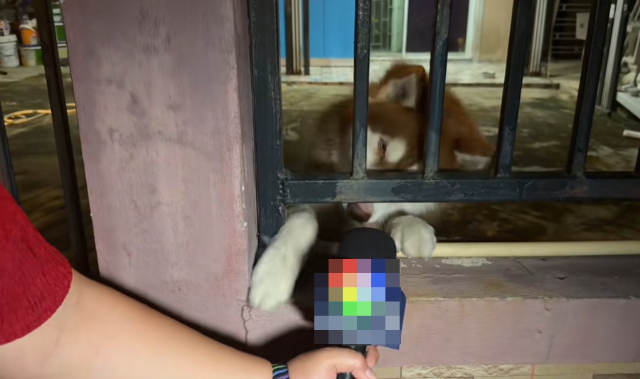 นักข่าว