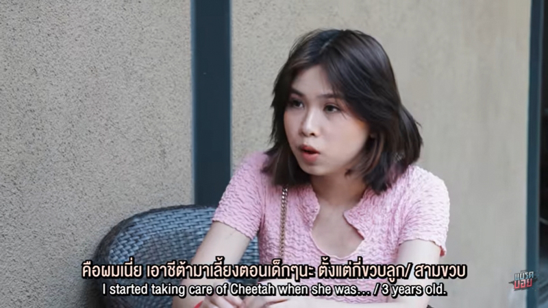 น้องชีต้า