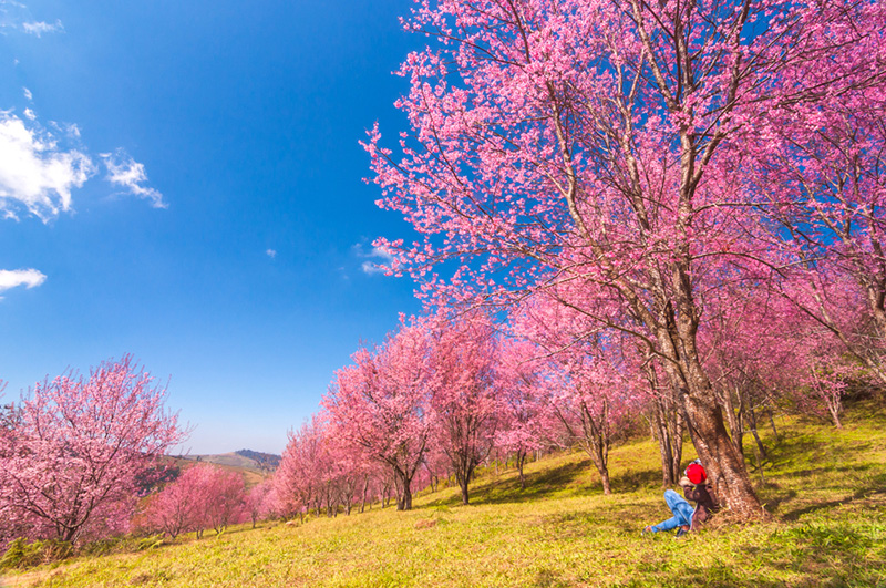 ที่เที่ยวอีสานตอนบน