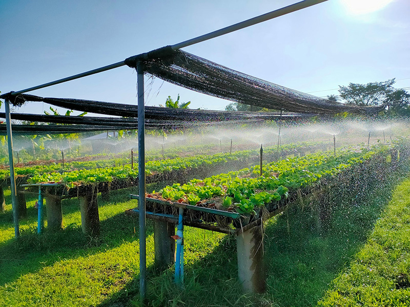 ที่เที่ยวหน้าหนาว ใกล้กรุงเทพฯ