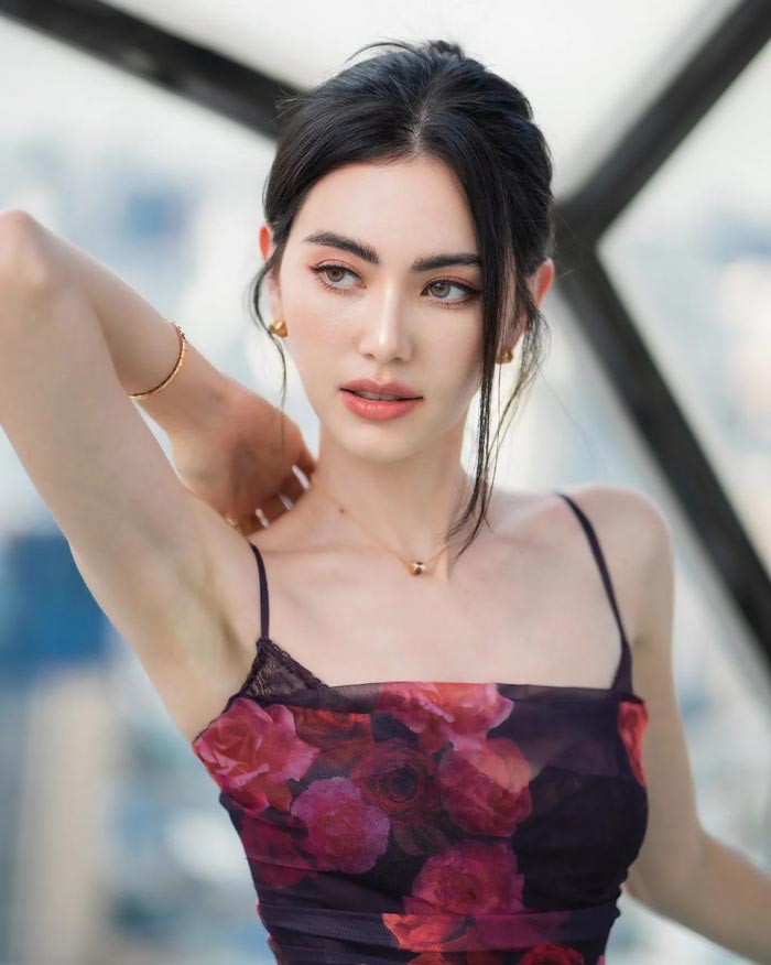 ใหม่ ดาวิกา