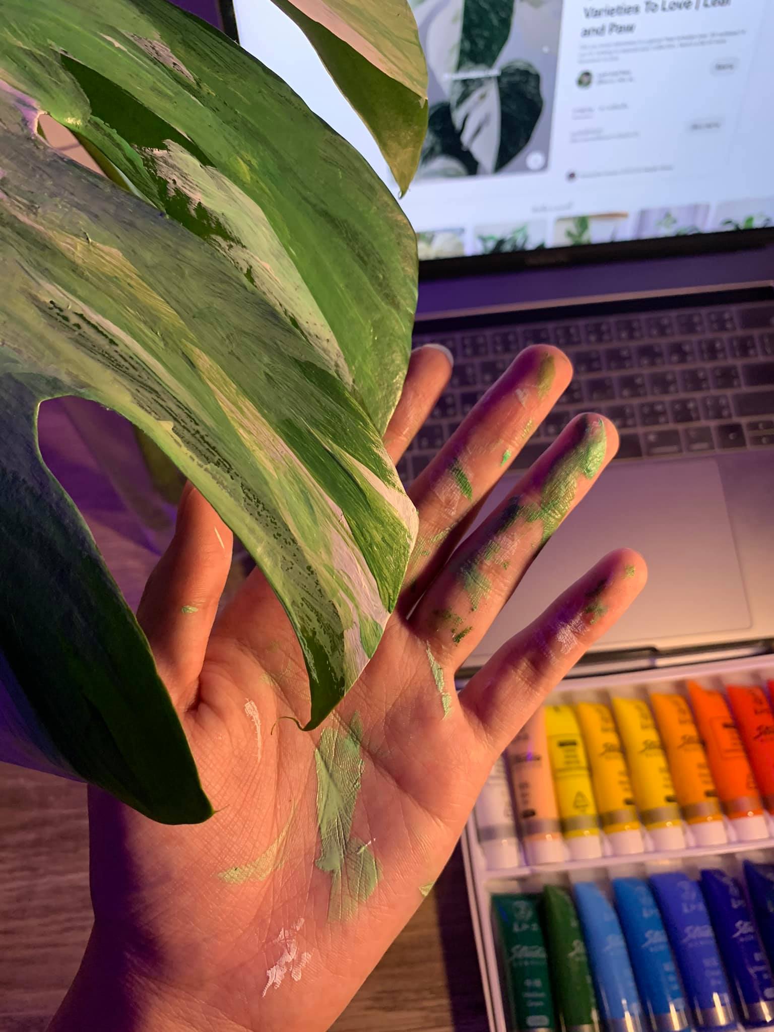 เพ้นท์ต้นไม้