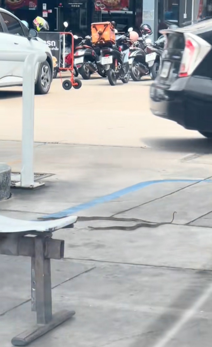 เติมน้ำมัน