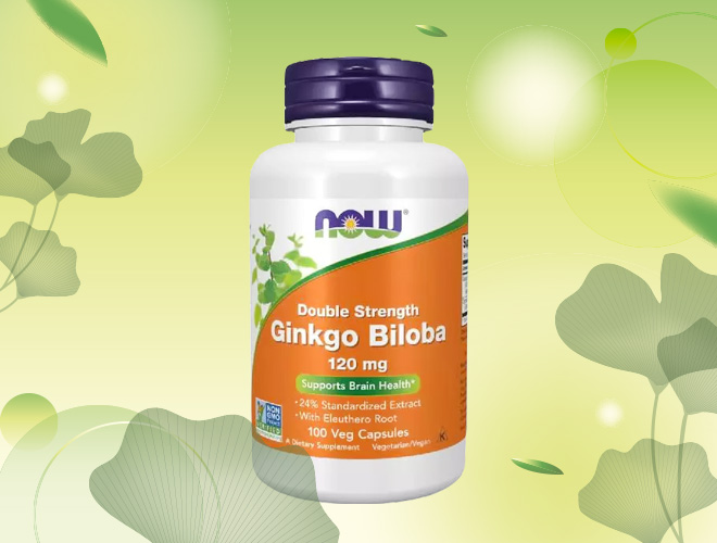 Now Foods Ginkgo Biloba 120 mg