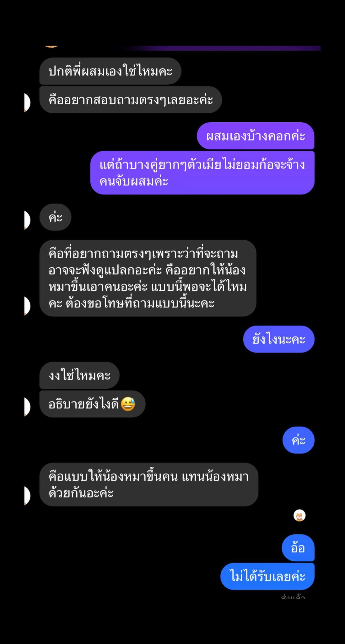 ฟาร์มหมา