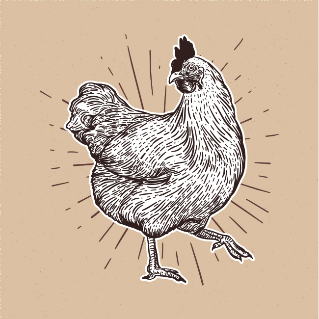 ฝันเห็นไก่