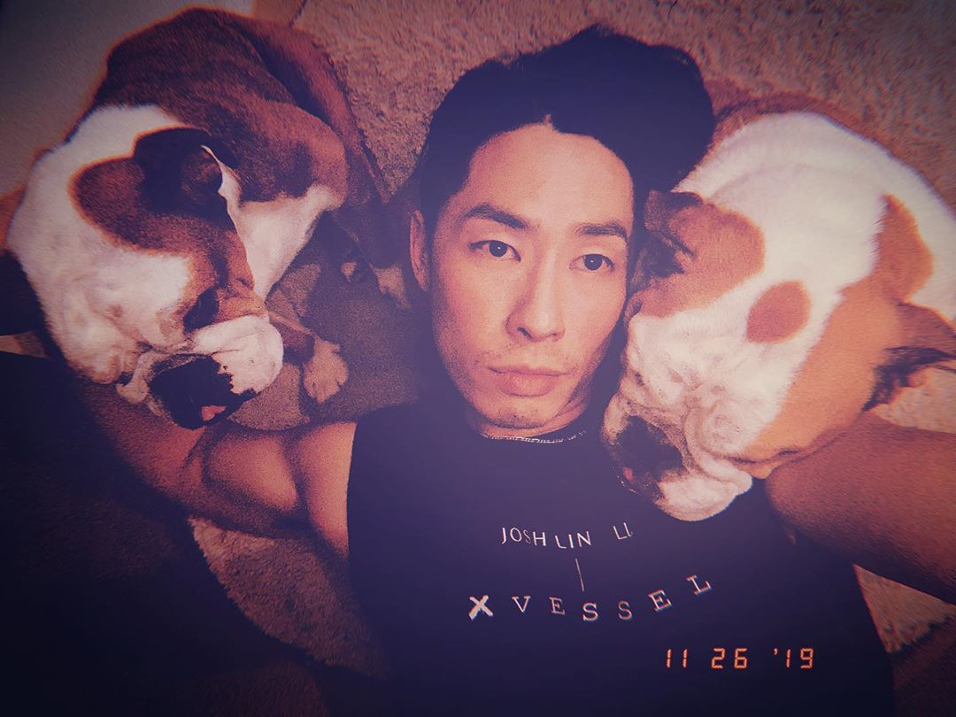 แวนเนส วู