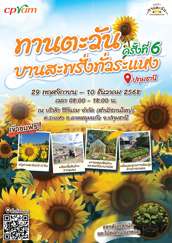 ทุ่งทานตะวัน 2568 ปทุมธานี