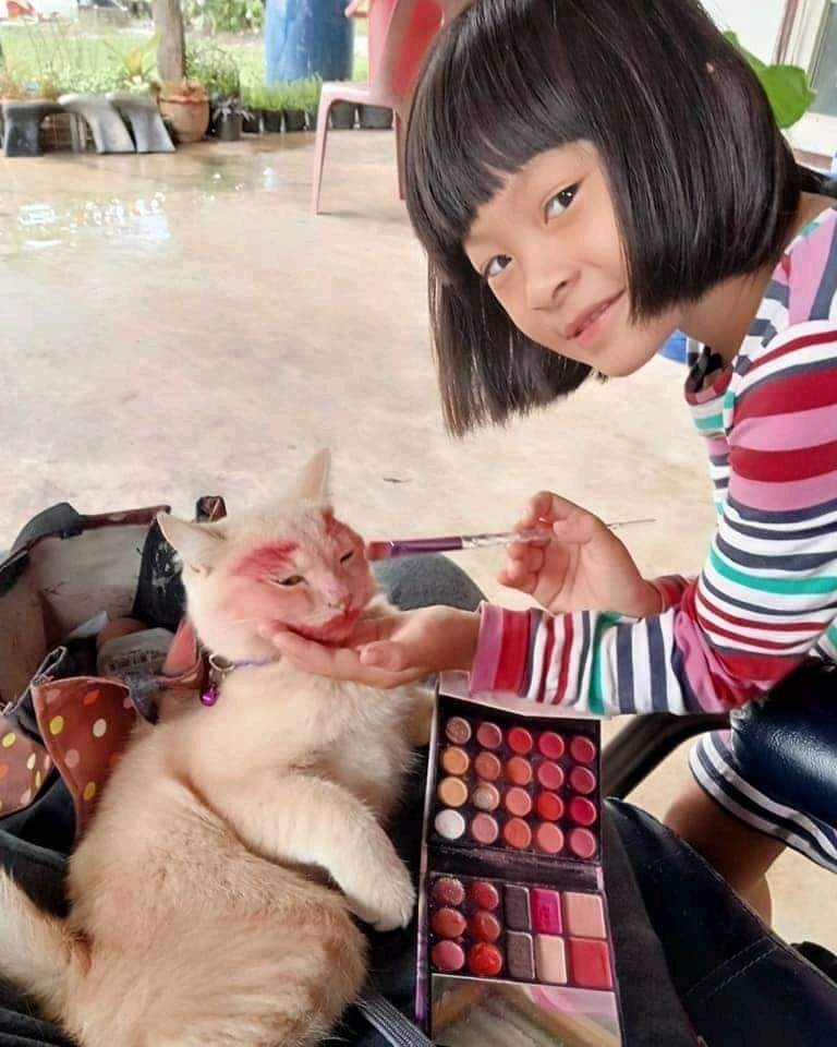 แต่งหน้าแมว