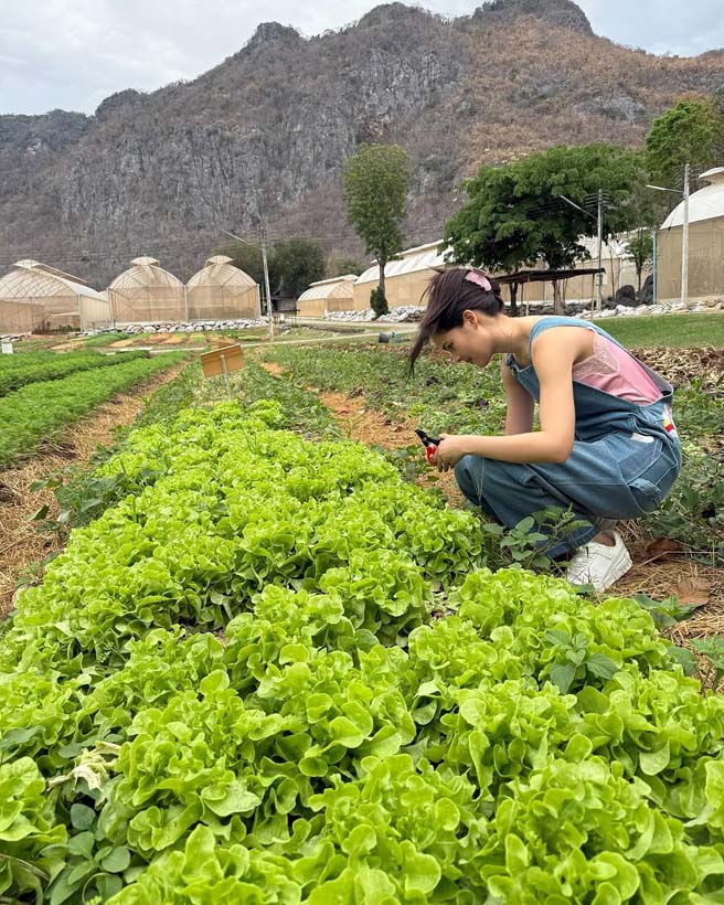 ญาญ่า อุรัสยา กับวันว่าง ๆ สลัดลุคซุปตาร์เป็นชาวสวน เก็บผักที่เขาใหญ่
