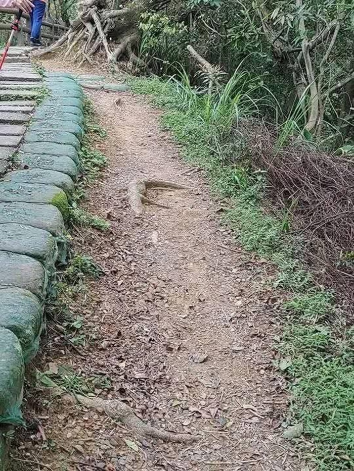 ตัวเงินตัวทอง