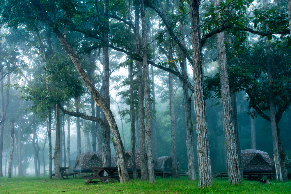 ที่เที่ยวหน้าหนาว 2566