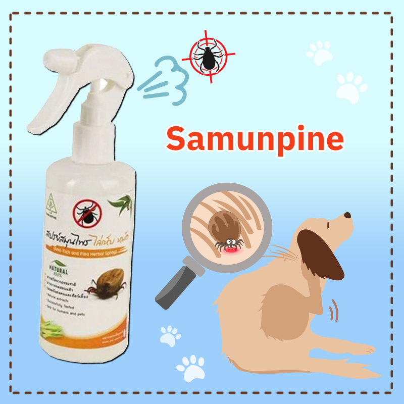 สเปรย์กำจัดเห็บหมัด