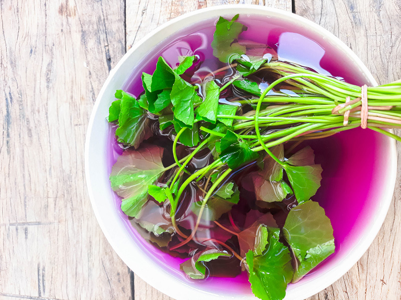 ด่างทับทิม