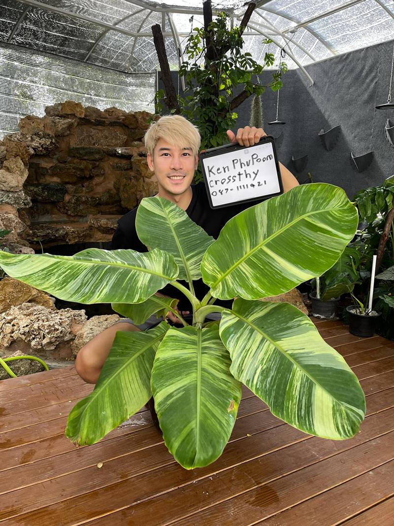  เคน ภูภูมิ 