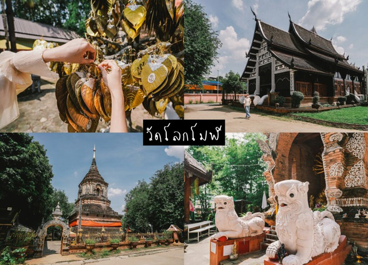 เที่ยวเชียวใหม่