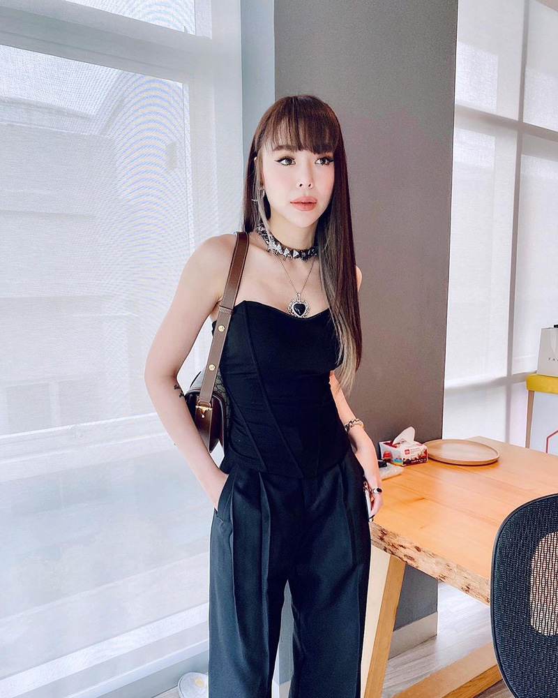 ซานิ ศัลยกรรม