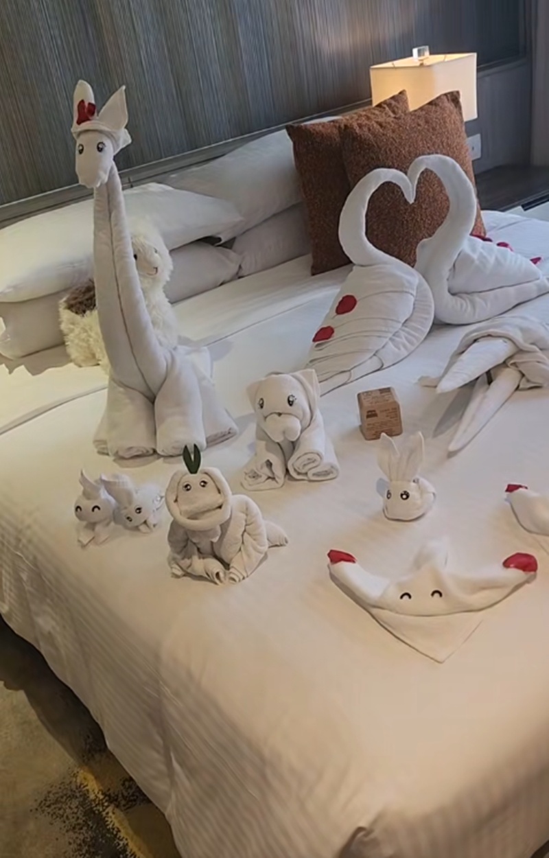 พับผ้าขนหนู