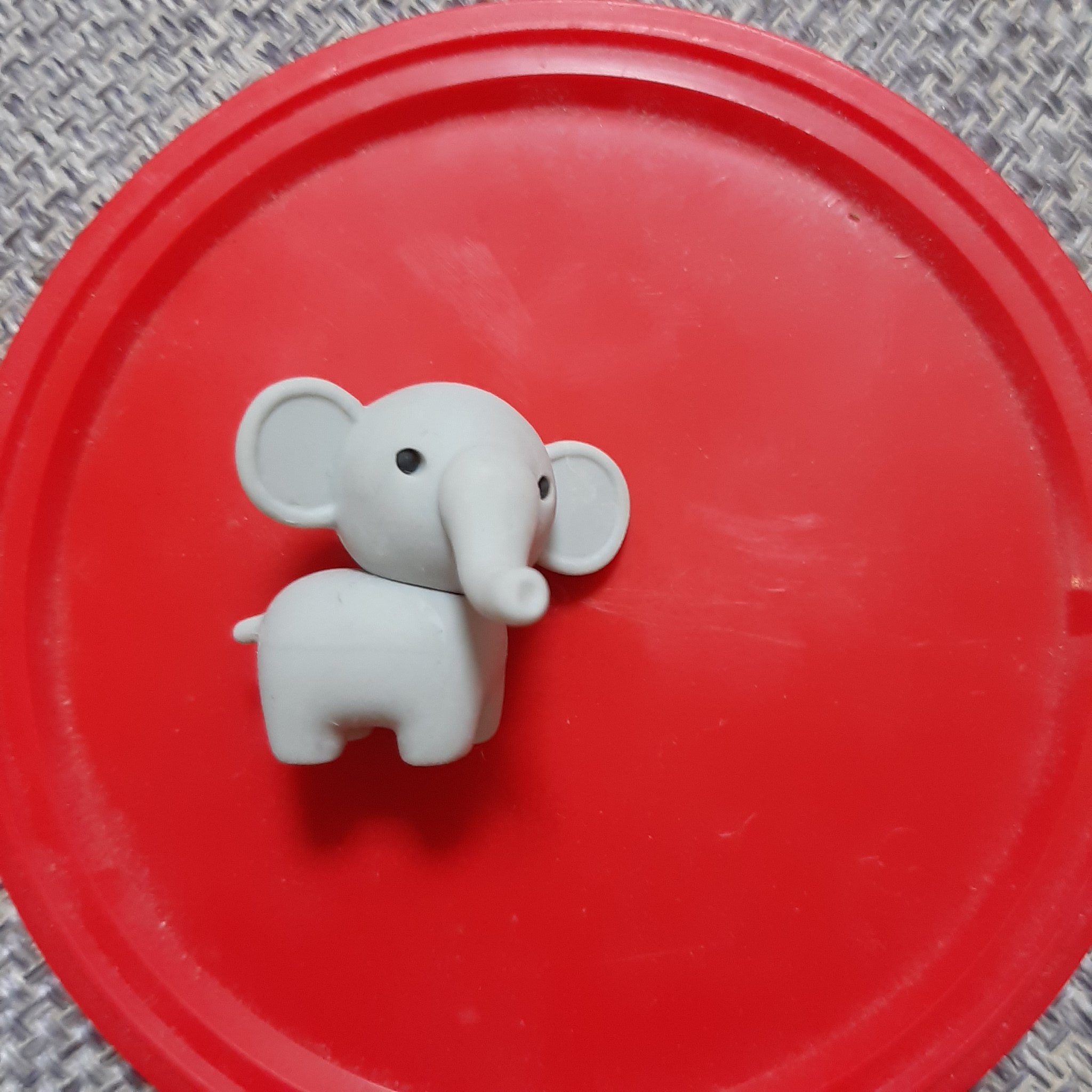 หมีโคอาลา