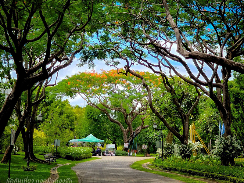 งานสีสรรพรรณไม้ เทิดไท้บรมราชินีนาถ ครั้งที่ 18 