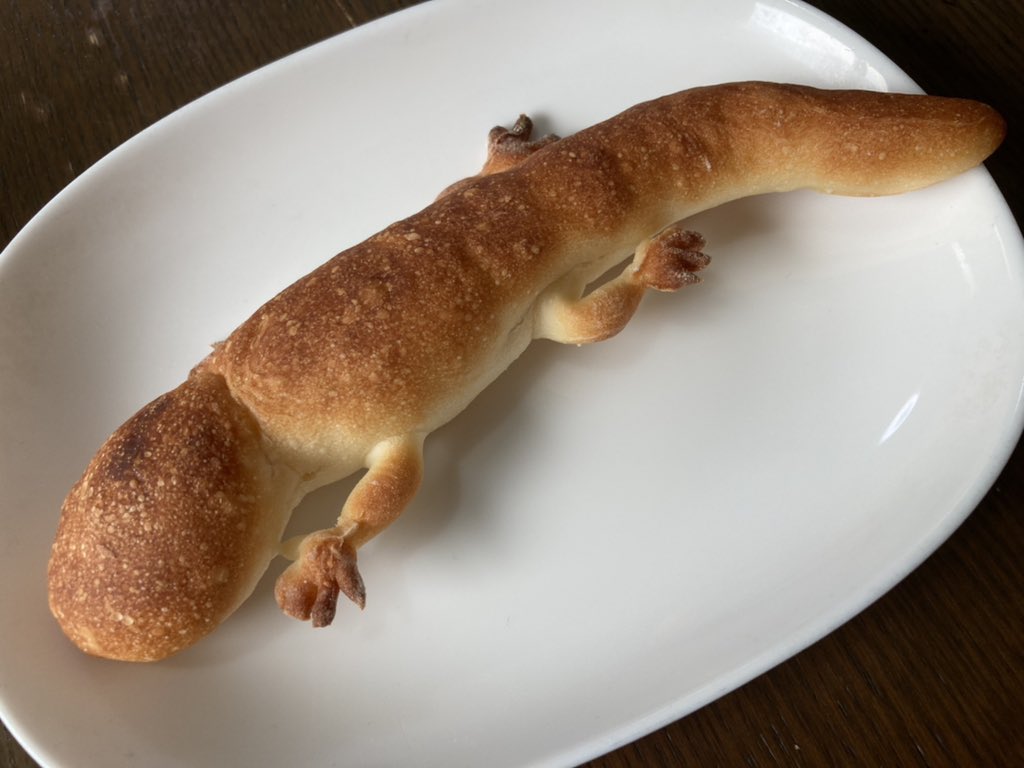 ขนมปังตุ๊กแก