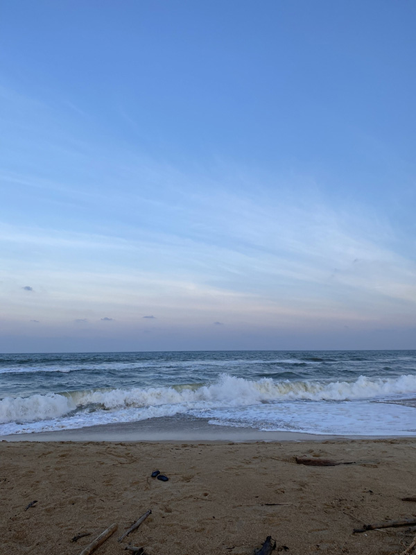 หาดวาสุกรี