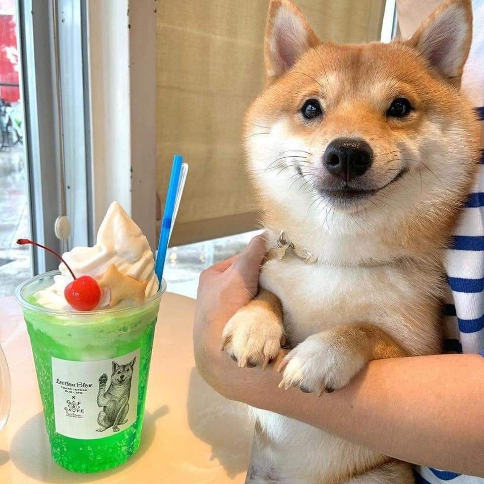 น้องยูนิ